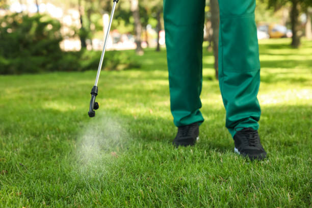 Best Mosquito Control Services  in Florence, CO