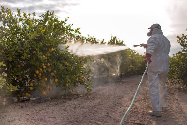Best Commercial Pest Control Services  in Florence, CO