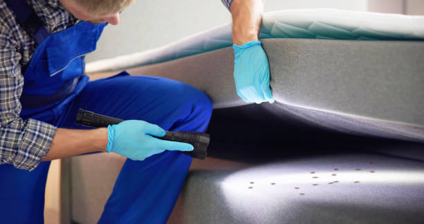 Best Ant Control Services  in Florence, CO