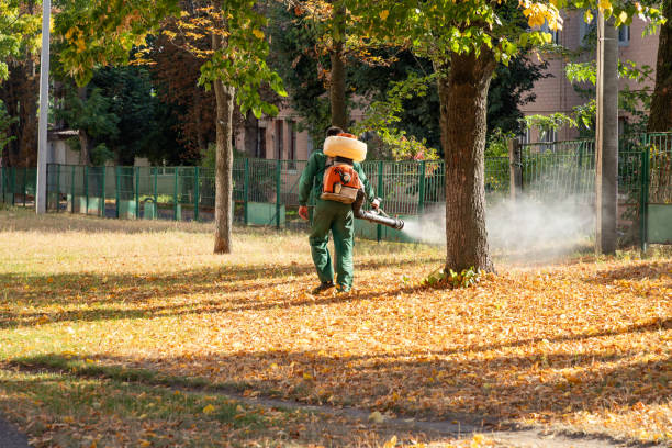 Pest Control for Restaurants in Florence, CO