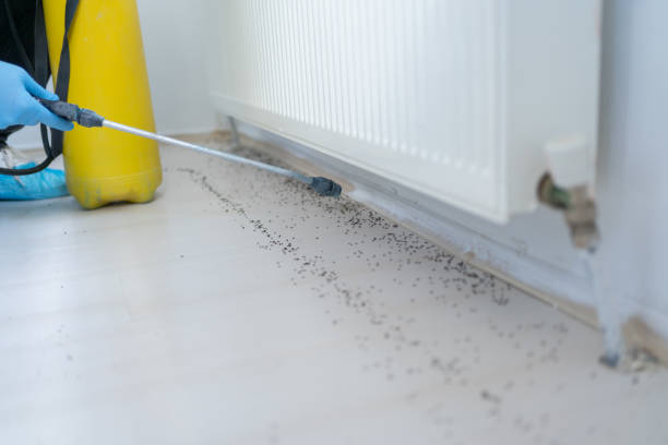 Best Cockroach Control Services  in Florence, CO